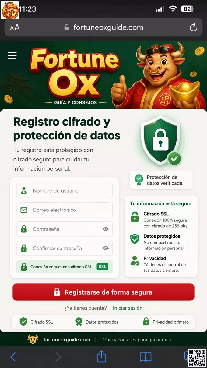 Registro Seguro