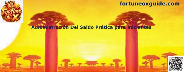 Administración Del Saldo Prática para Iniciantes